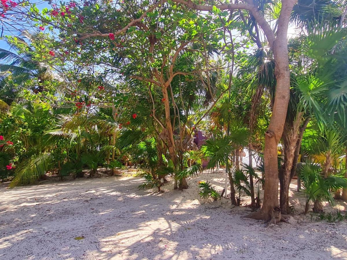Ecological Hotel Maya Luna Mahahual Esterno foto