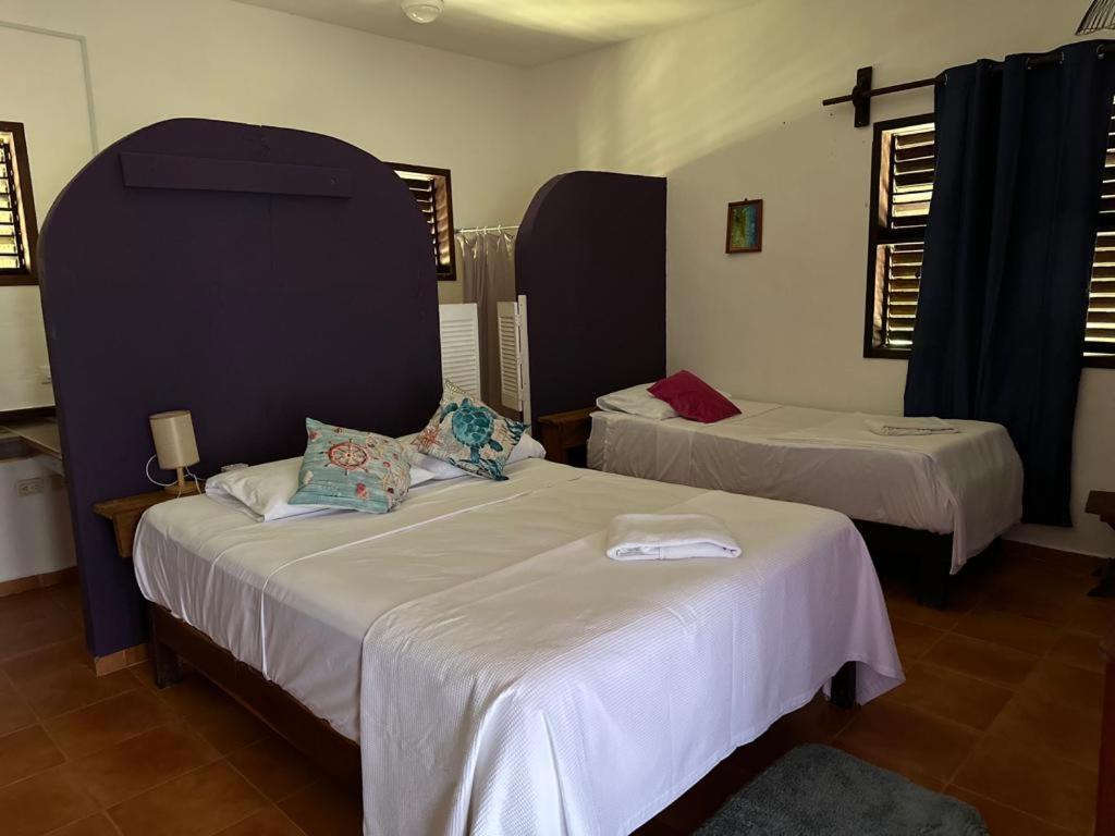 Ecological Hotel Maya Luna Mahahual Esterno foto